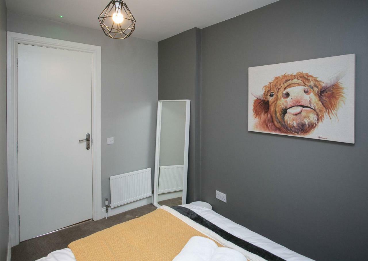 11 College Place North Belfast Ngoại thất bức ảnh